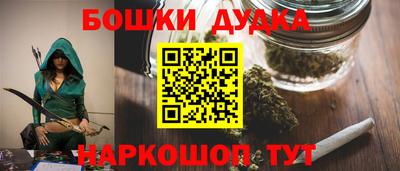 тгк Бердск