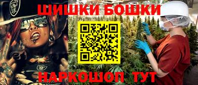 тгк Бердск