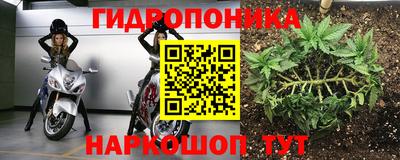 тгк Бердск