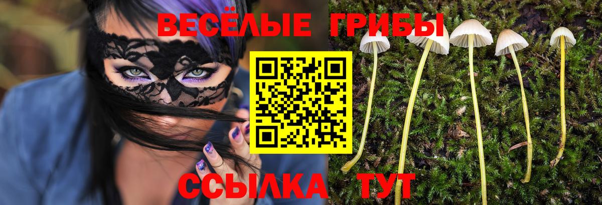 Галлюциногенные грибы мухоморы  Вход с VPN  Белово 